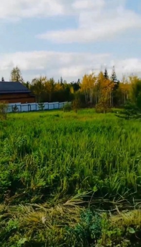 ДП Родной в Ревде - revda.yutvil.ru