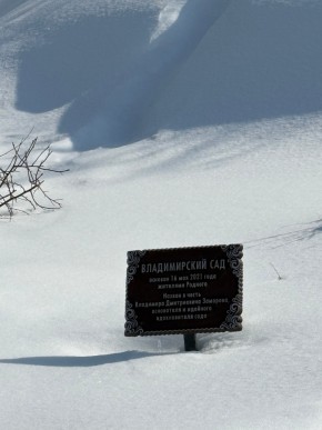 ДП Родной в Ревде - revda.yutvil.ru - фото 11