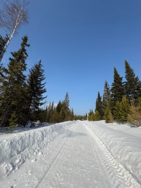 ДП Родной в Ревде - revda.yutvil.ru - фото 7