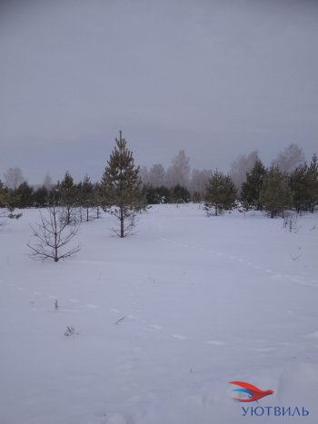 Земельный участок поселок Баженово в Ревде - revda.yutvil.ru - фото 5