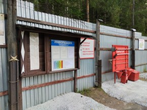 г.Верхняя Пышма СНТ №5 Березки в кв. 22 Среднеуральского Уралмашевского лесхоза в Ревде - revda.yutvil.ru - фото 18 г.Верхняя Пышма СНТ №5 Березки в кв. 22 Среднеуральского Уралмашевского лесхоза в Ревде - revda.yutvil.ru - фото 18