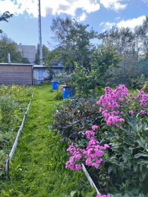 Коллективный сад номер 7, участок 58 в Ревде - revda.yutvil.ru - фото 23
