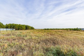 Российская Федерация, Свердловская область, Сысертский городской округ, территория садоводческого некоммерческого товарищества Бобровские дачи, улица Каштановая, земельный участок № 38 в Ревде - revda.yutvil.ru - фото 16