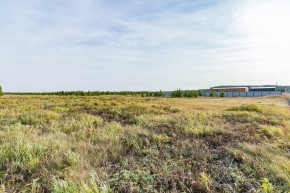 Российская Федерация, Свердловская область, Сысертский городской округ, территория садоводческого некоммерческого товарищества Бобровские дачи, улица Каштановая, земельный участок № 38 в Ревде - revda.yutvil.ru - фото 24