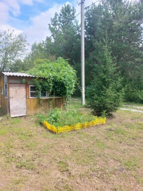 СНТ Родники в Ревде - revda.yutvil.ru - фото 2