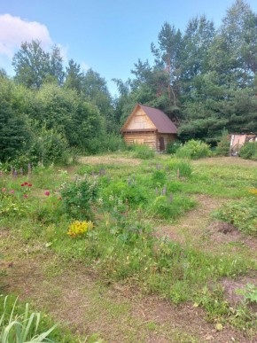 СНТ Родники в Ревде - revda.yutvil.ru - фото 3