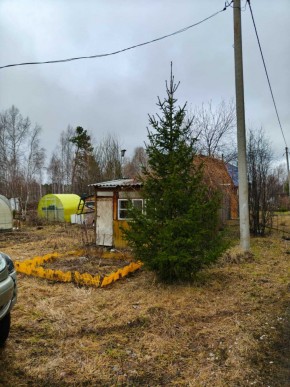 СНТ Родники в Ревде - revda.yutvil.ru - фото 5