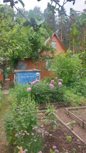 СНТ Садовод-24 в Ревде - revda.yutvil.ru