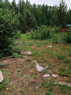 СТН Семья №112, Верхняя пышма на землях бывшего подсобного хозяйтва верхнепышминского опытного завода в Ревде - revda.yutvil.ru - фото 17 СТН Семья №112, Верхняя пышма на землях бывшего подсобного хозяйтва верхнепышминского опытного завода в Ревде - revda.yutvil.ru - фото 17