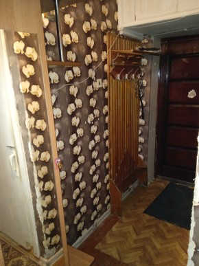 ул. Бажова,11 в Ревде - revda.yutvil.ru - фото 9