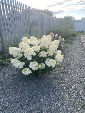 ул. Весенняя,12 в Ревде - revda.yutvil.ru - фото 20